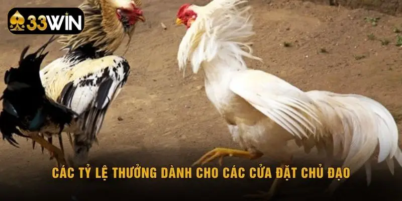 Các tỷ lệ thưởng dành cho các cửa đặt chủ đạo